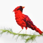 Экзотические птицы созданные из лепестков цветов (10 фото)